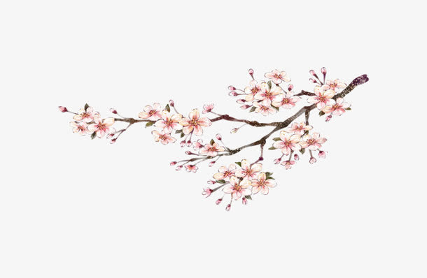 手绘桃花免抠