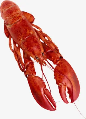 海鲜免抠
