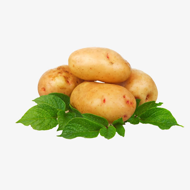 四个土豆免抠