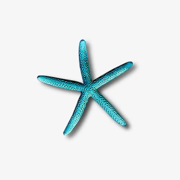 海星免抠
