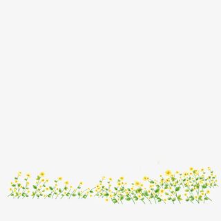 花草  春天  绿植  素材免抠