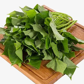 绿色红薯叶免抠