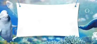 海底世界背景banner装饰高清