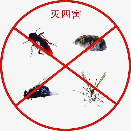 消灭四害免抠