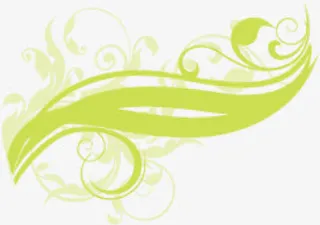 春天黄绿色树叶纹理免抠