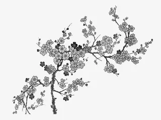 手绘黑色梅花树叶免抠