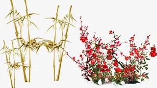 竹子元素下载免抠