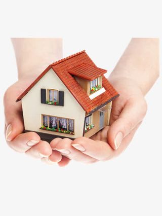 把爱带回家免抠