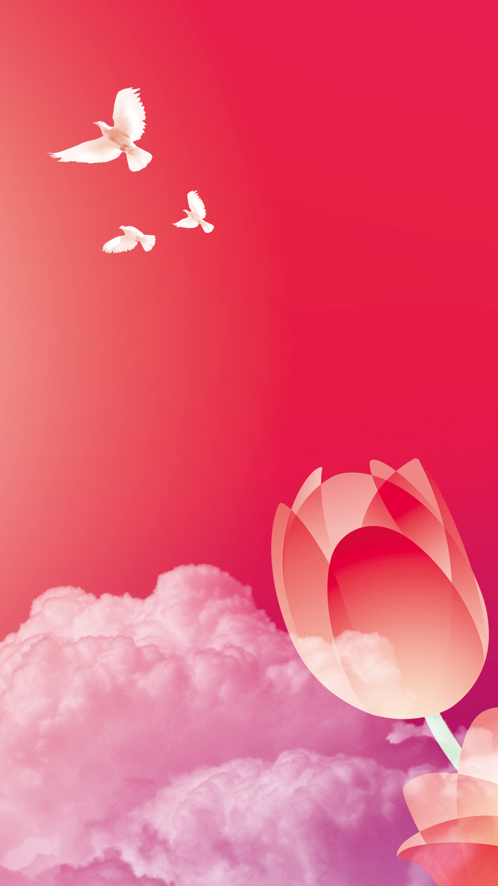 红色花卉B5背景高清