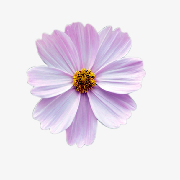 草地生成的花朵免抠