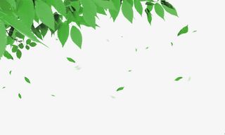 绿叶免抠漂浮叶子元素