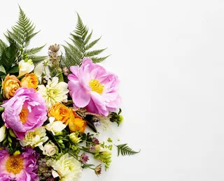 高清彩色花朵绿叶免抠