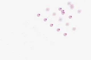 双十一淘宝店铺轮播海报免抠