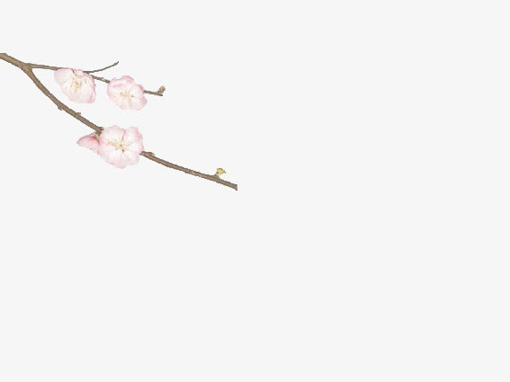 桃花树枝花朵立绘免抠素材免抠