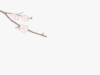 桃花树枝花朵立绘免抠素材免抠