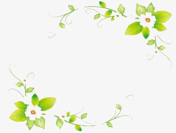 花朵边框免抠