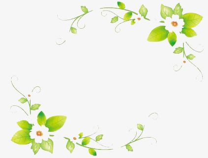 花朵边框免抠