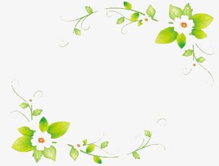 花朵边框免抠