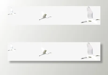 白色春天白鸽美景免抠装饰动物元素