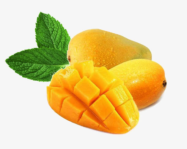 小台芒与绿叶图片素材免抠