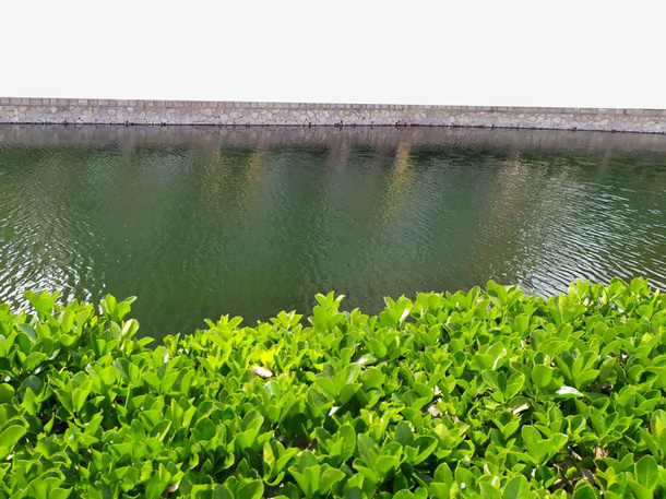 春天  生机勃勃  水免抠背景场景背景元素