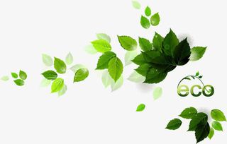 手绘绿叶唯美春天装饰免抠