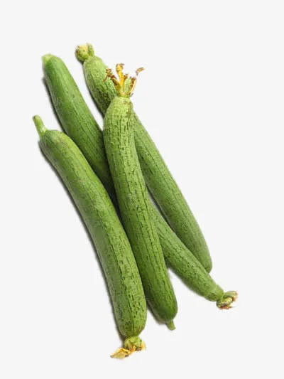 新鲜的丝瓜免抠