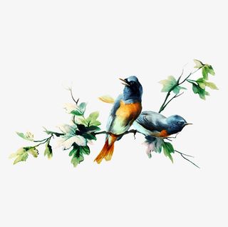 春天树枝上的小鸟。免抠装饰动物元素