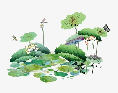 卡通荷花免抠