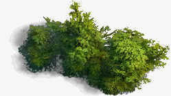 绿色植物免抠