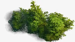 绿色植物免抠