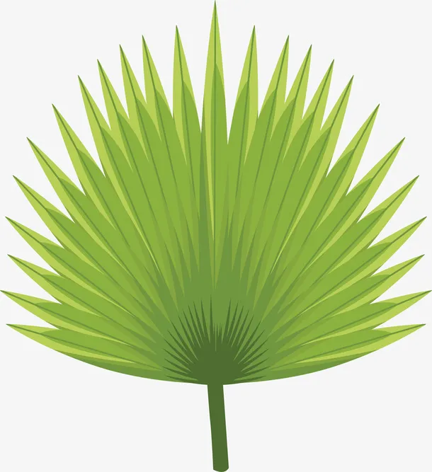 绿色棕榈叶植物素材图免抠