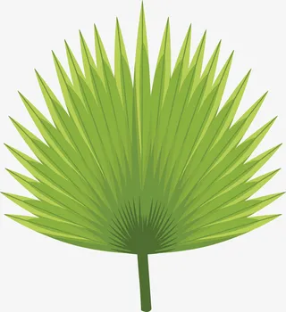 绿色棕榈叶植物素材图免抠