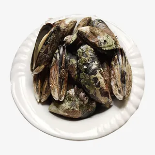 产品实物水产海虹免抠