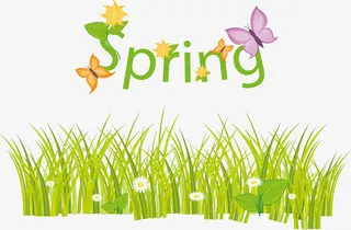 spring 春天 草地 蝴蝶免抠