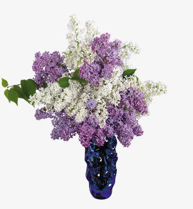 花瓶台花免抠