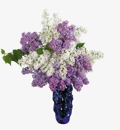 花瓶台花免抠
