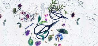 手绘插花背景图高清