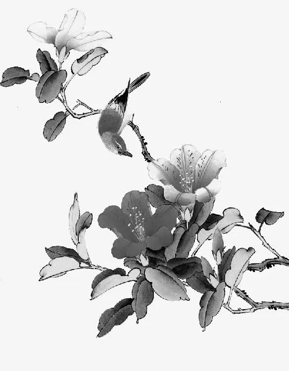 树枝免抠
