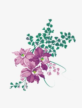 手绘紫罗兰免抠