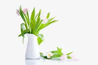 绿色树叶粉嫩花卉植物桌面摆件免抠