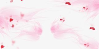 情人节浪漫粉纱花瓣免抠