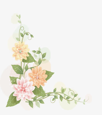 黄色花朵花卉免抠