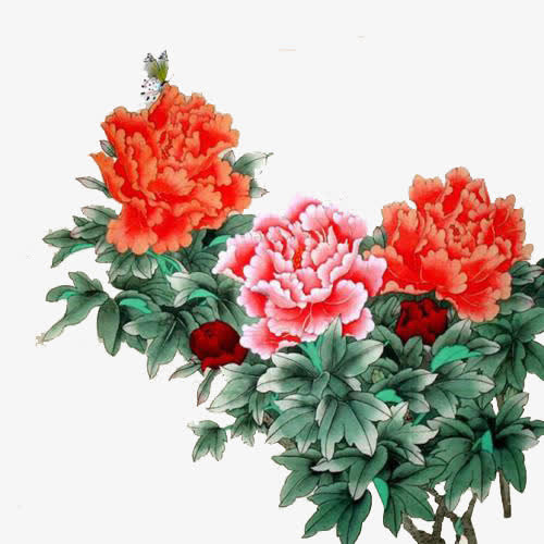 水墨画手绘芙蓉花免抠