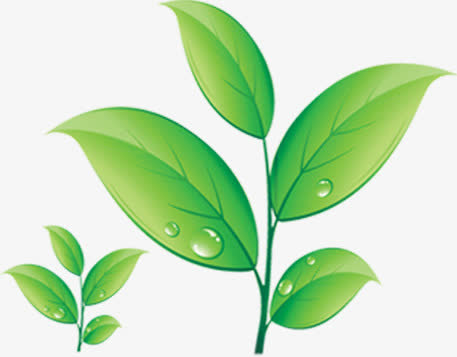 春天绿色水彩植物绿叶免抠