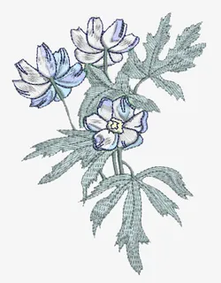 花朵素材抽象鲜花免抠