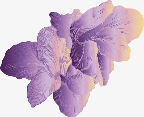 渐变紫色手绘花朵免抠