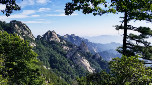 春天 爬山 蓝天松树高清