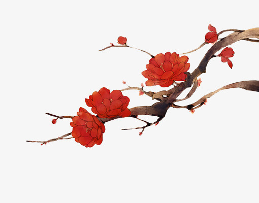 中国风手绘红花免抠