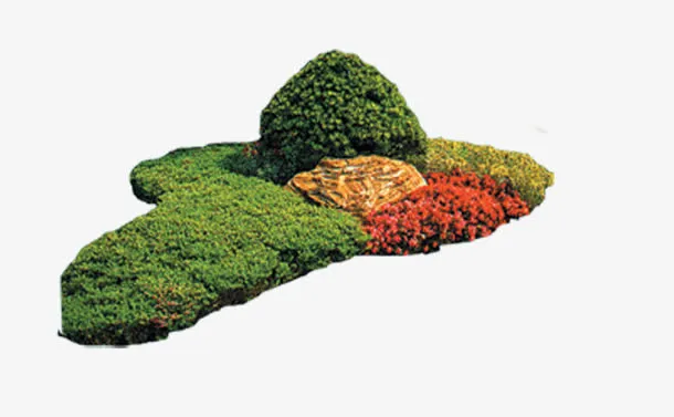 绿色园林树木免抠